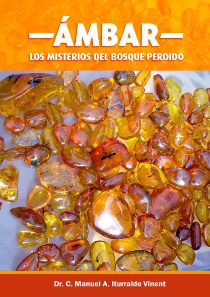 Ámbar. Los misterios del bosque perdido (Libro)