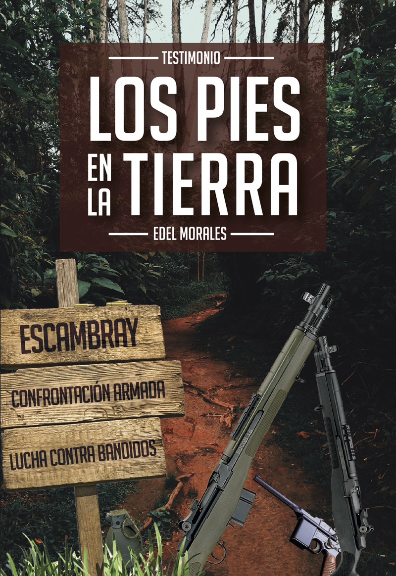 Los pies en la tierra (Libro)