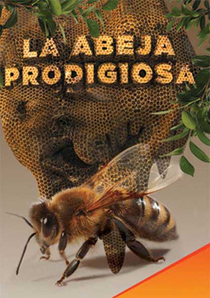 La abeja prodigiosa (Libro)